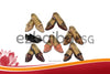 女皮鞋 Female Leather Shoes/ Short Heels