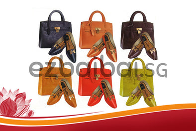 女时尚袋，鞋	Handbag Set 2.0